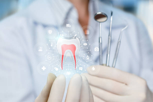  Lake Secession, SC Dental Services Pros